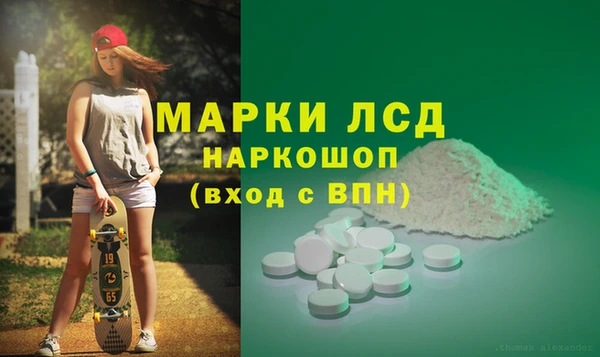 a pvp Алзамай