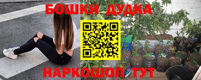 стаф Свободный