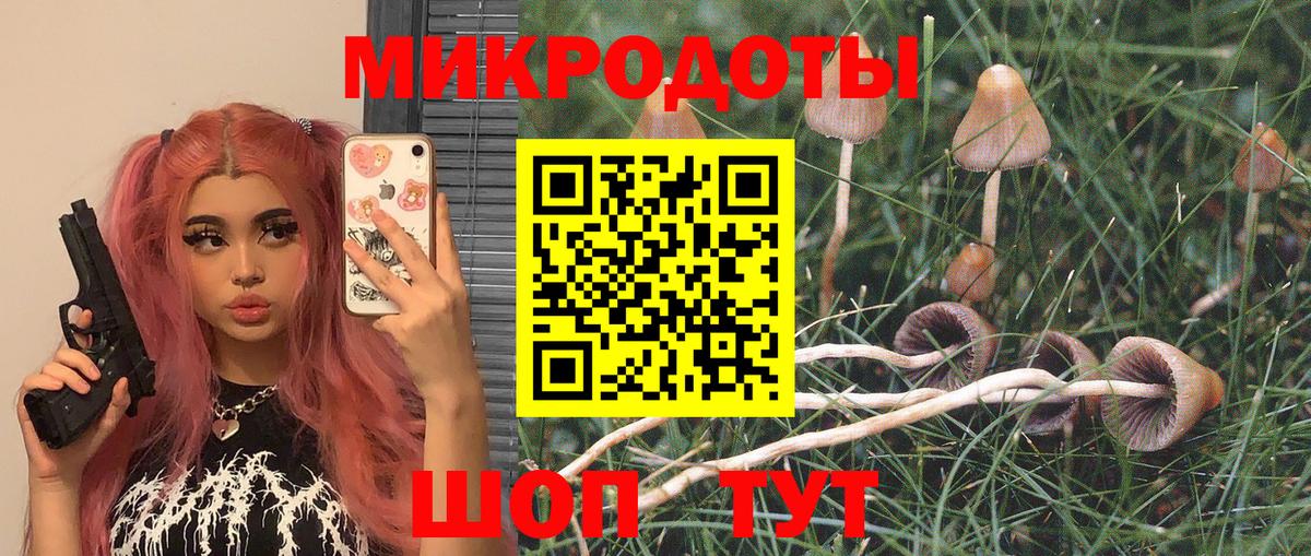 Галлюциногенные грибы Psilocybine cubensis Сухой Лог