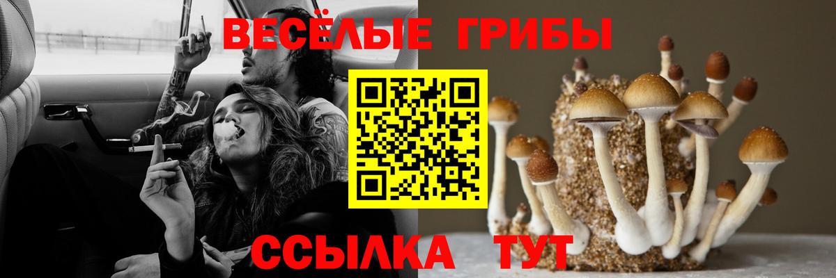 Сухой Лог  Псилоцибиновые грибы прущие грибы  Галлюциногенные грибы прущие грибы  купить  цена  Вход с VPN 