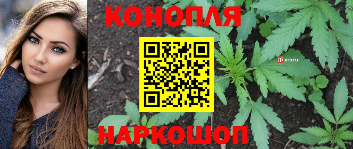 Сухой Лог  Канабис сатива  Бошки Шишки тримм  Вход с VPN  Марихуана MAZAR 